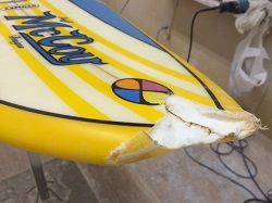 �|���G�X�e�� �m�[�Y�܂� 2_1